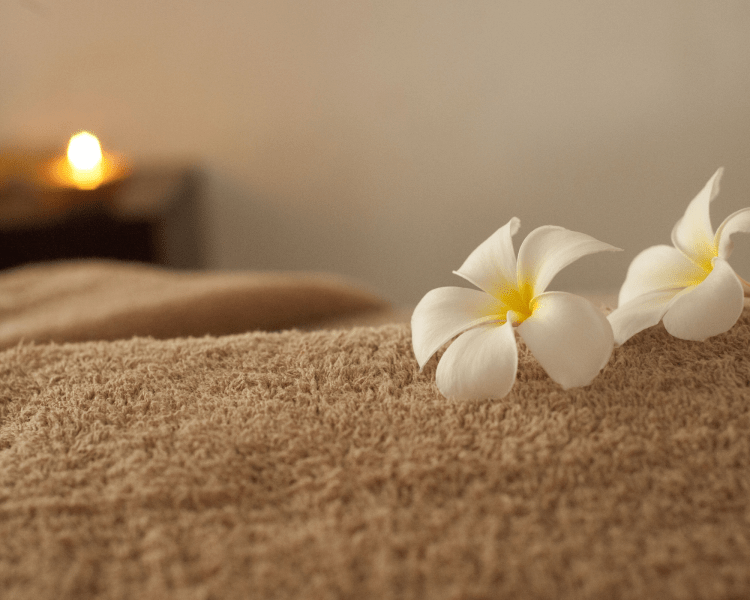 Hôtel Villa Saxe Eiffel - massage