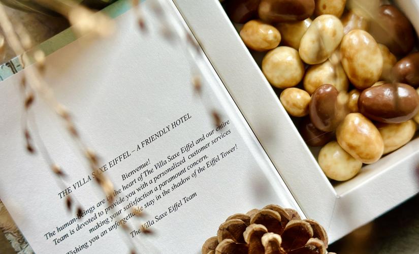 Hôtel Villa Saxe Eiffel